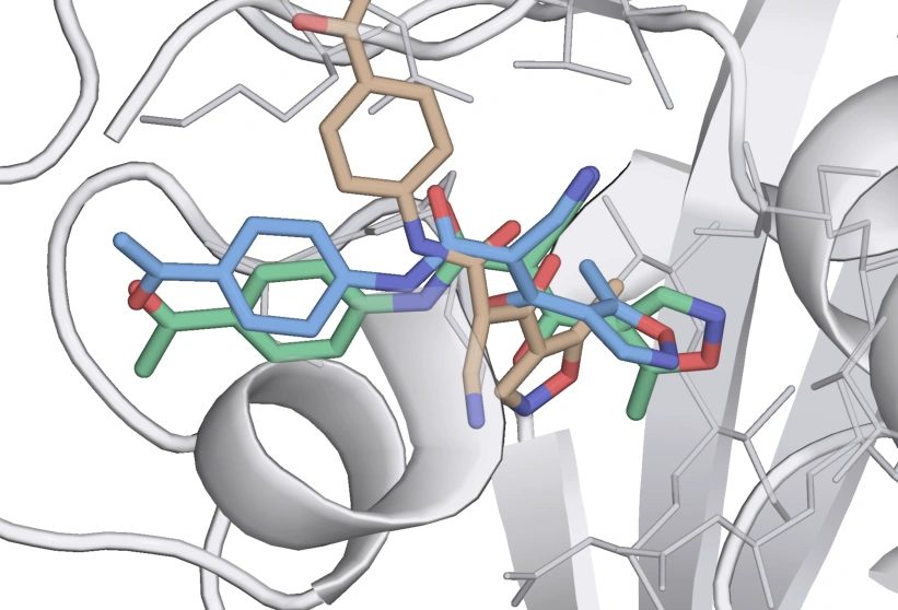 Clean final ligand pose overlay for 7FTR · YQH, showing crystal reference in green, MARTINI in blue and potentials-only in tan