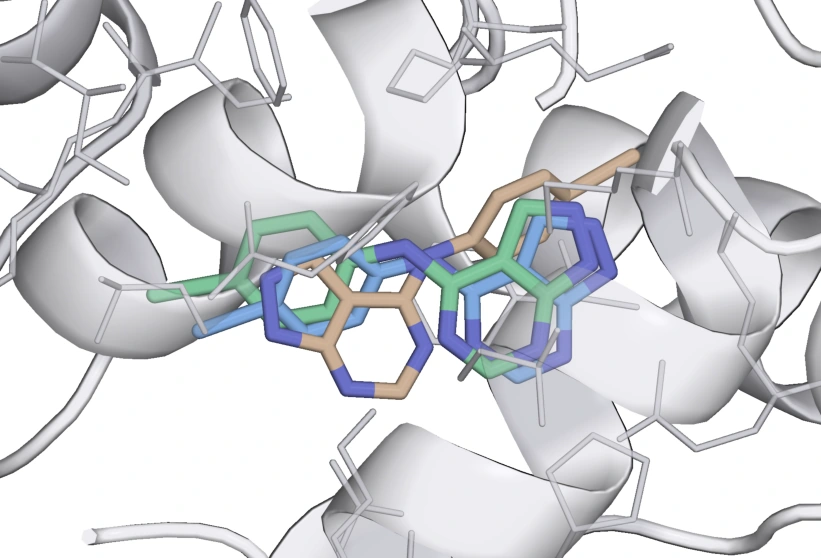 Clean final ligand pose overlay for 8BVX · RYF, showing crystal reference in green, MARTINI in blue and potentials-only in tan