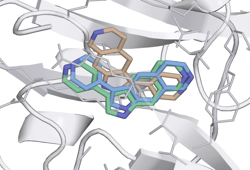 Clean final ligand pose overlay for 8RDK · YQT, showing crystal reference in green, MARTINI in blue and potentials-only in tan